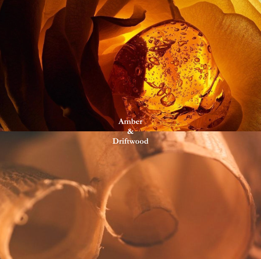 Amore (Amber & Driftwood)