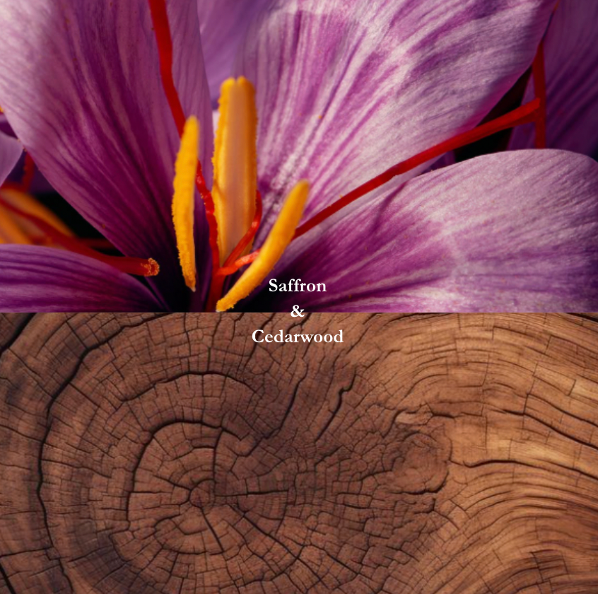 Atlas (Saffron & Cedarwood)